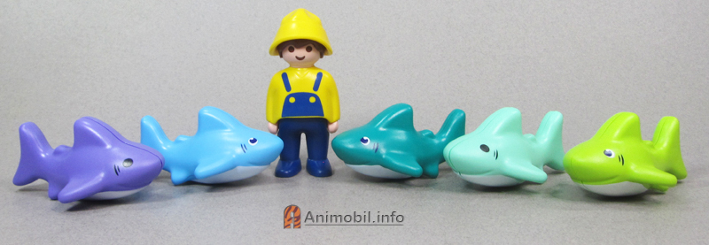 123 and Junior Sharks