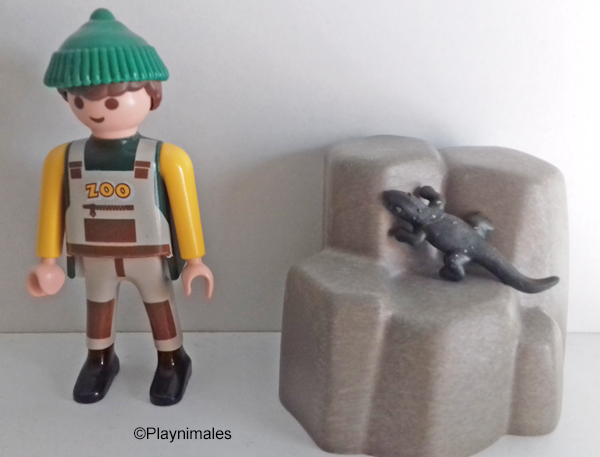 Lizard - Alligator Baby Green 3