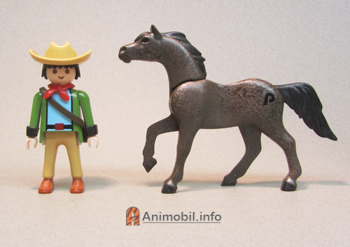 Horse Arabian with Brand