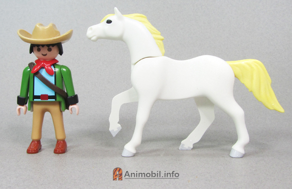 Horse Arabian White
