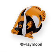 Butterflyfish Dark Yellow