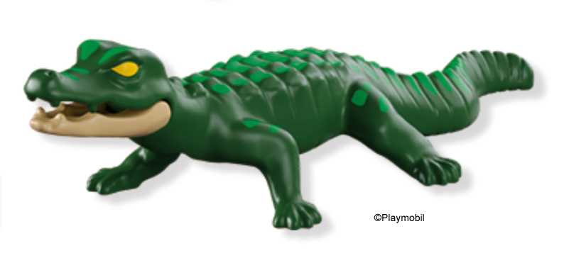 Caiman Green with White Mouth