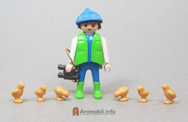 Chicks Group 3 Dark Yellow