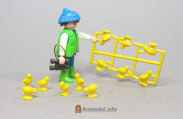 Chicks Group 2