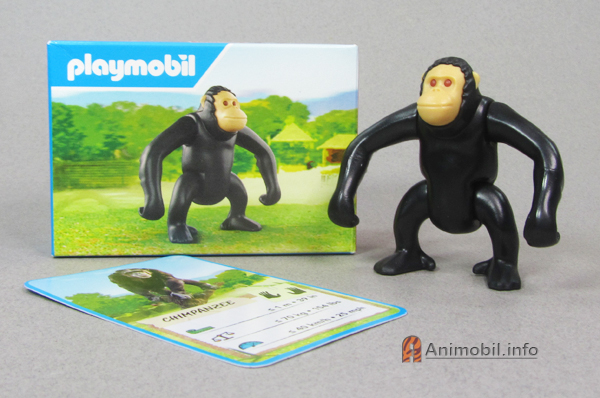 Chimpanzee McDonalds