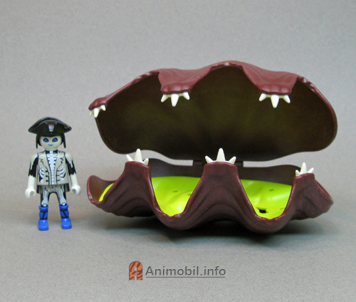 Clam Giant