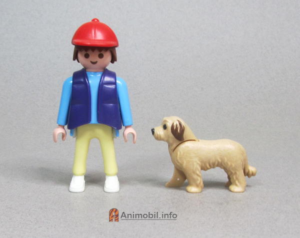 Wheaten Terrier - Copernicus