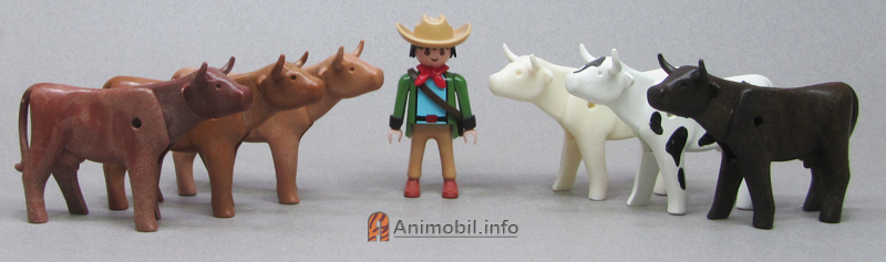 Cow 1