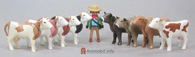 Cow 2