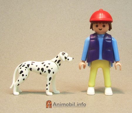 Dalmation 2 White Ears