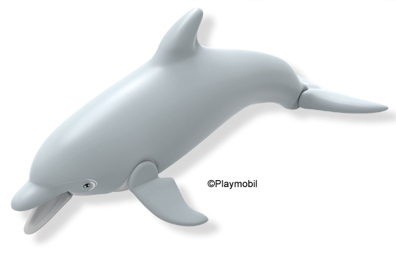 Dolphin 5