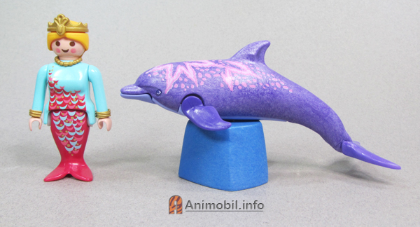 Dolphin Purple