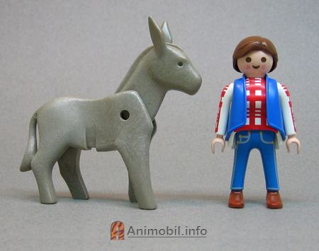 Donkey 1