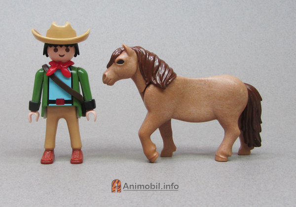 Draft Pony Tan