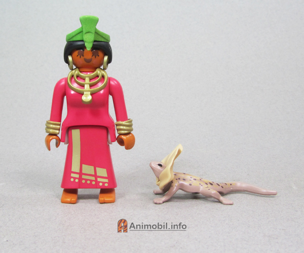 Frilled Lizard