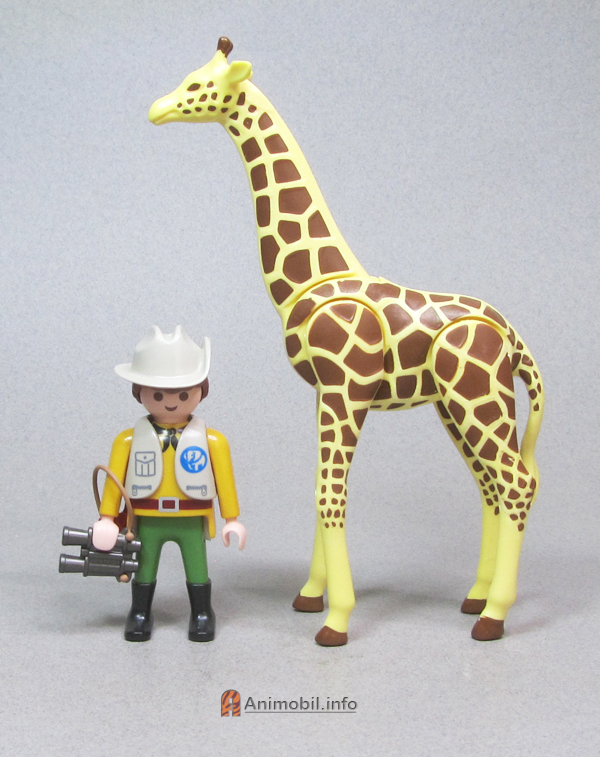 Giraffe 4