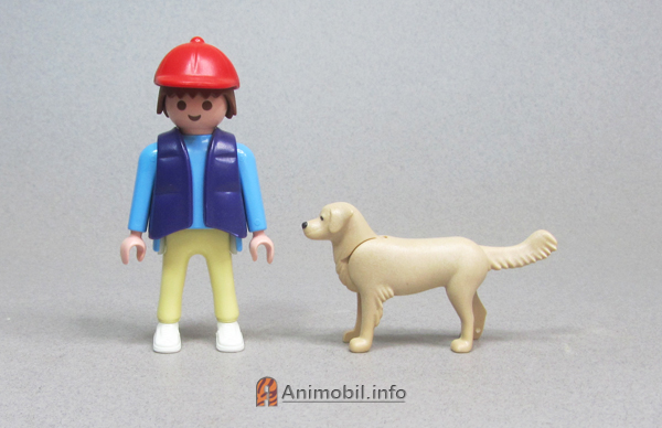 Golden Retriever Standing 3