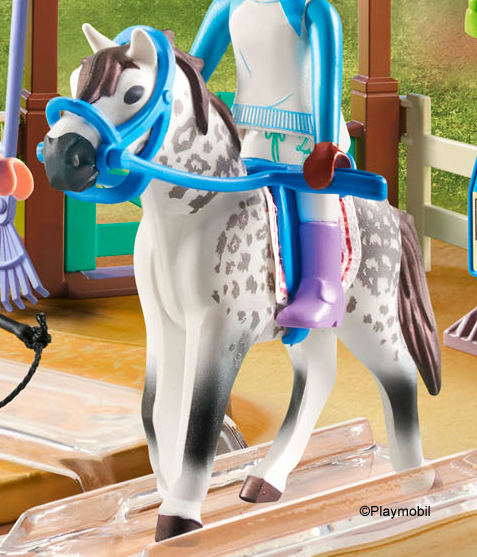 Knabstrupper Brown Mane