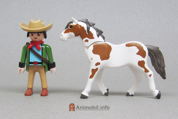 Haflinger Pinto 3