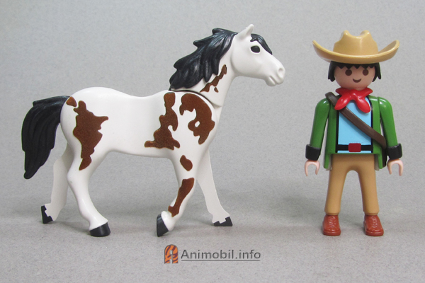 Haflinger Pinto 5 Sawdust