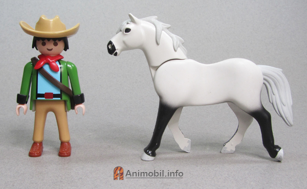 Quarter Horse