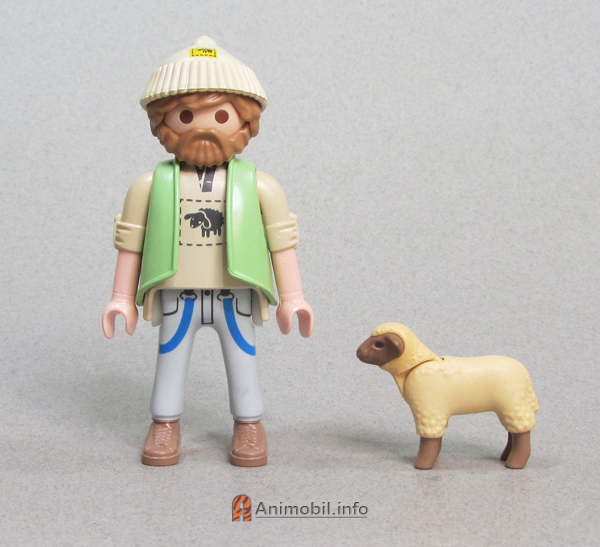 Sheep Lamb Hampshire 5 Tan