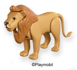 Lion Male 7