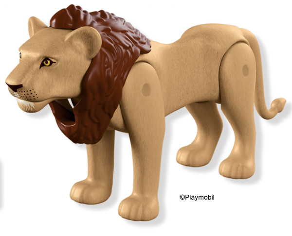 Lion Male 8