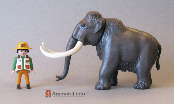 Mammoth Dark Brown
