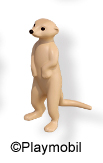 Meerkat Standing 3