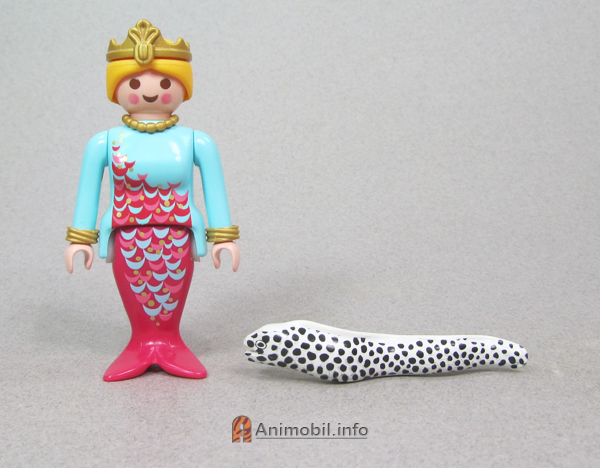 Moray Eel White Spotted