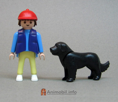 Newfoundland Black