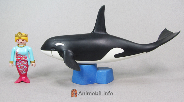 Orca Killer Whale