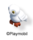 Owl White Screech 3