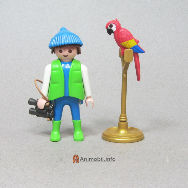 Parrot Red Painted 1 C