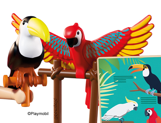 Parrot Red with Wings Spread