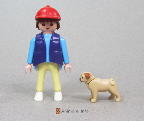 Pug Tan 2