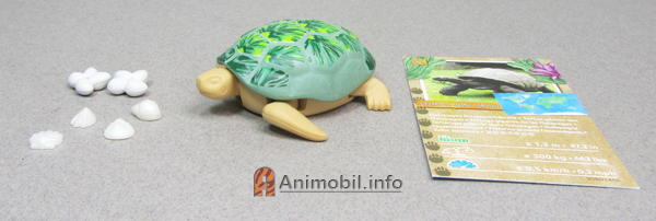 Sea Turtle 1 Green 2