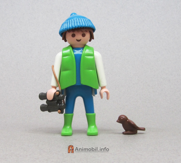 Songbird Brown Head Up