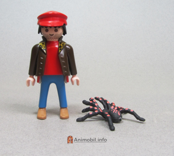 Spider Black with Red Spots