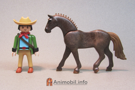 Sporthorse Dark Brown
