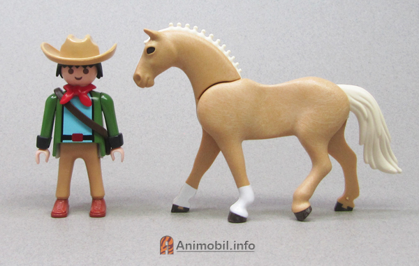 Sporthorse Warmblood