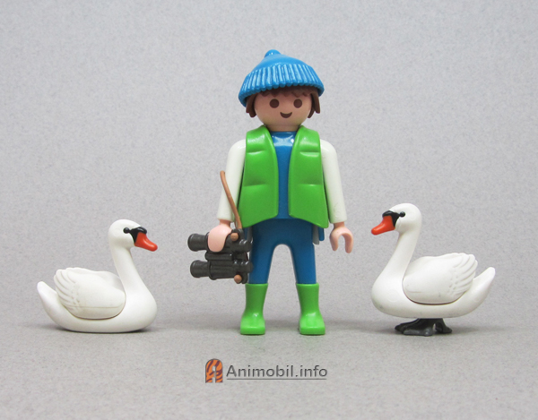 Swan