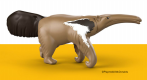 Giant Anteater 2