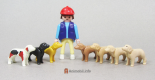 Beagle Body Type