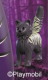 Cat Standing Fluffy Black