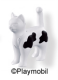 Cat Standing White Spotted 4
