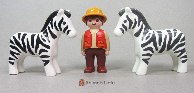 Zebra 123 and Junior